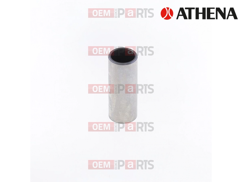 Piston pin
