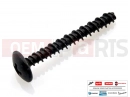 PIAGGIO Fly 100 20 pc - 478533 - Vis