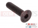 PIAGGIO B016797 - Vis