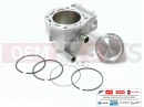 PIAGGIO X9 500 Evolution 832811 - Cylinder kit (500 ccm)