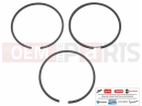 PIAGGIO 843228 - Segment