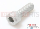 derbi GPR 50 NUDE 2 ks - AP8150170 - Skrutka (M8x25)