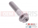 derbi Rambla 300 5 pc - AP8152289 - Vis