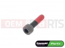 KAWASAKI 2001 92150-1604 - Skrutka (8x30)