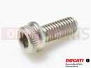 DUCATI 2016 Hyperstrada 939 2 pc - 77156398B - Vis
