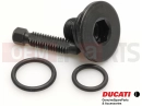 DUCATI 2011 Diavel Carbon 77140141A - Vis