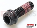DUCATI 2023 Monster 2 pc - 77110401B - Vis