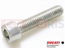 DUCATI 2012 Multistrada 1200 ABS 77150708B - Vis
