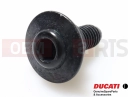 DUCATI 2013 HYPERSTRADA 77214411AA - Vis