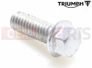 Triumph 2014 THUNDERBIRD LT T3205064 - Vis