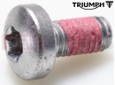 Triumph 2013 STREET TRIPLE 560477 > T3331042 - Screw, Pan/Hd, Tx, M6 x 12, En