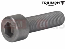 Triumph 2011 SPEEDMASTER EFI T3203206 - Vis