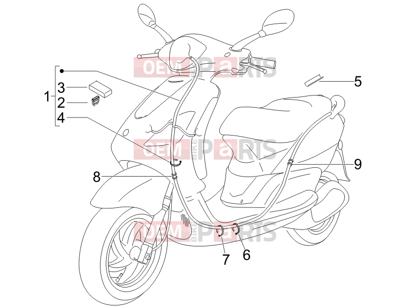 Electrical system » Main cable harness - Piaggio Fly 50 4T 2007
