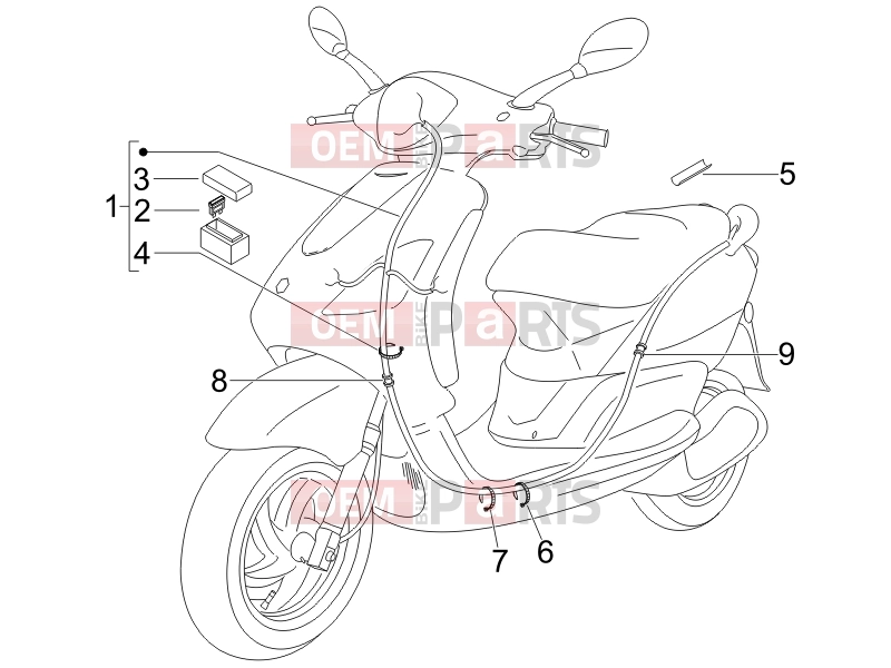 Electrical system » Main cable harness - Piaggio Fly 50 4T 2009