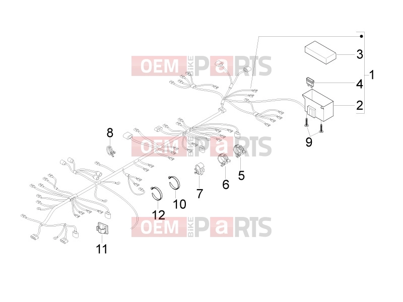 gilera 2019 Runner 50 SP Electrical system » Main cable harness