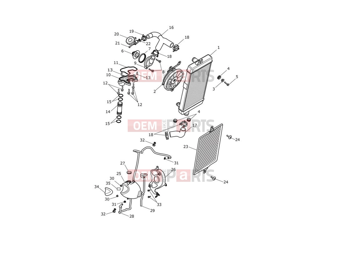 Triumph 2020 Thruxton RS Cooling System