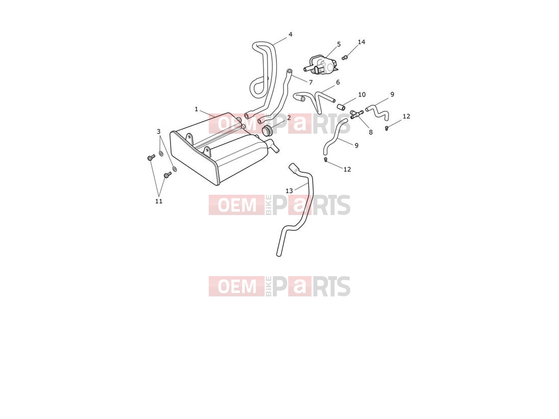 Triumph 2020 Thruxton RS Evap System