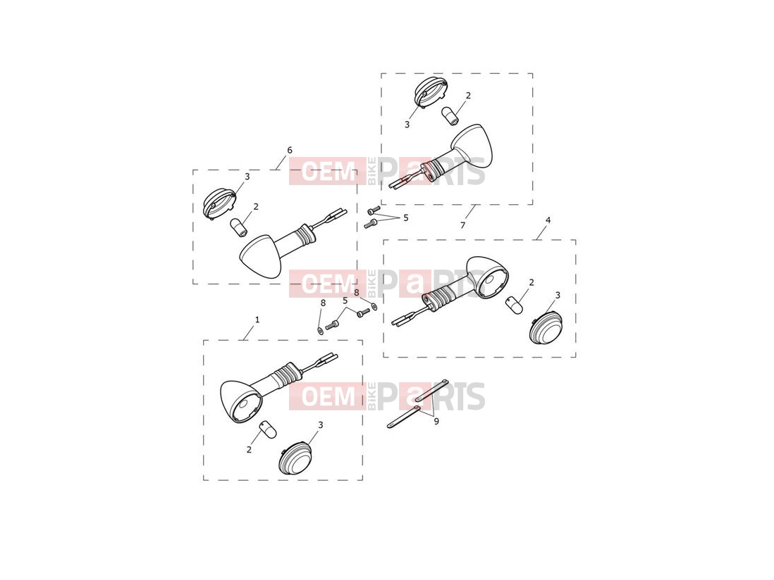 Triumph 2021 Thruxton RS Indicators