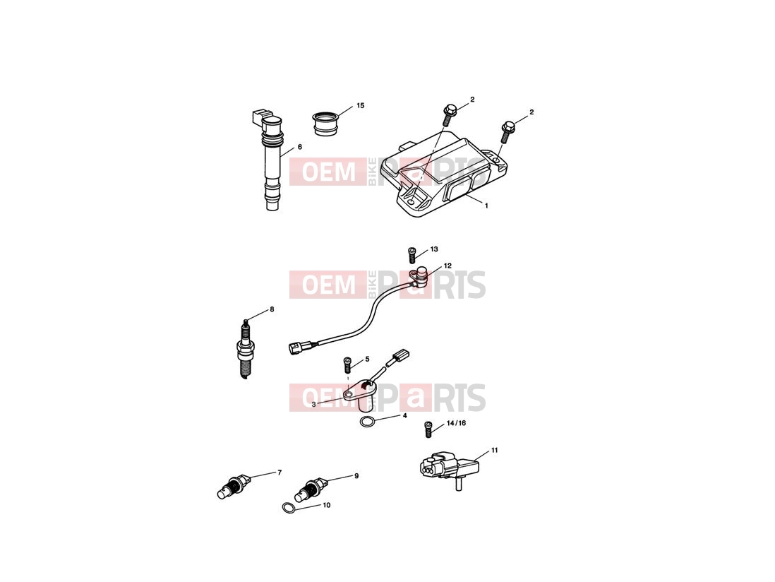 Triumph 2009 SPRINT ST 208167 > Engine Management System
