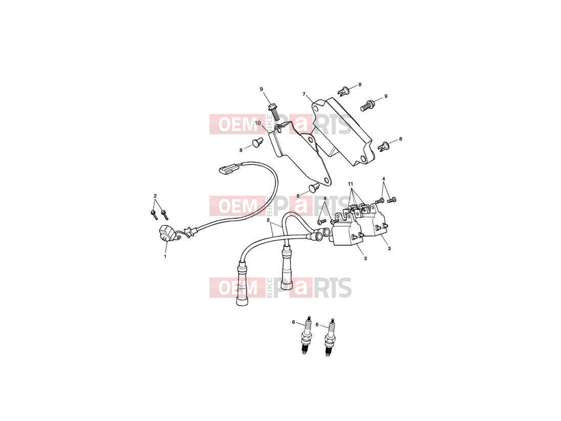 Triumph 2006 SPEEDMASTER CARBS Ignition System