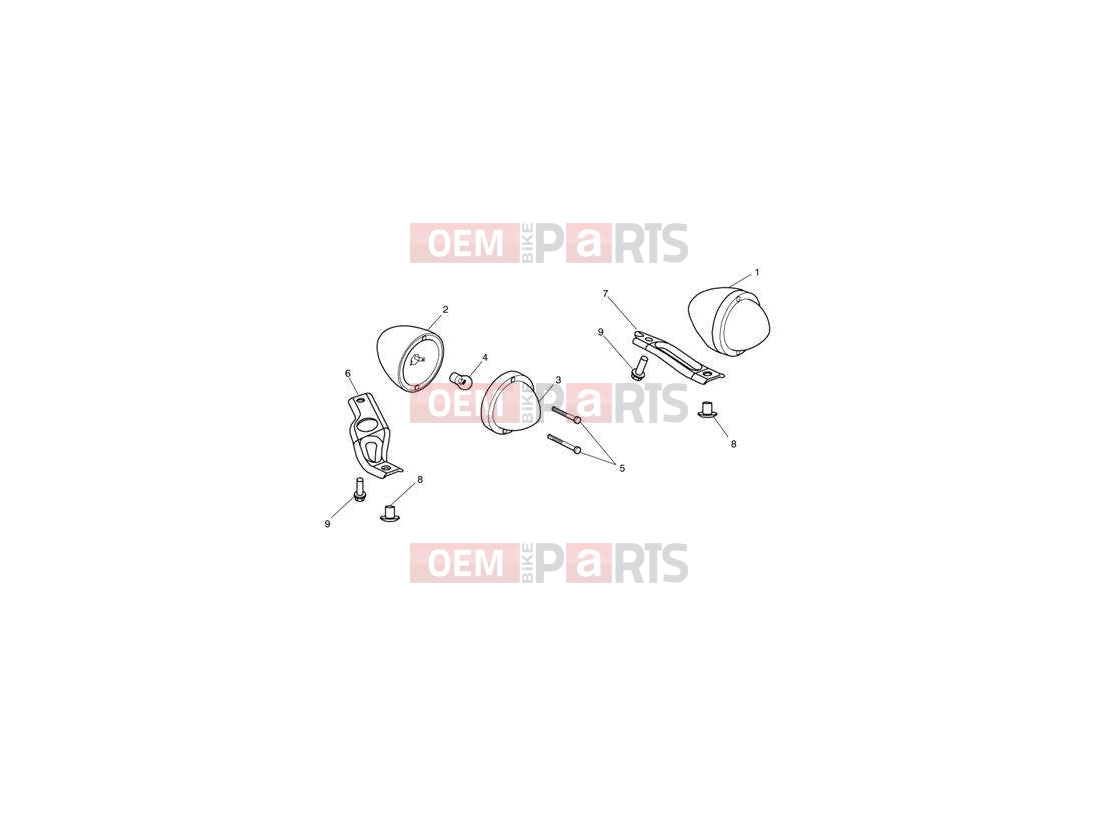 Triumph 2007 SPEEDMASTER EFI Indicators 469051