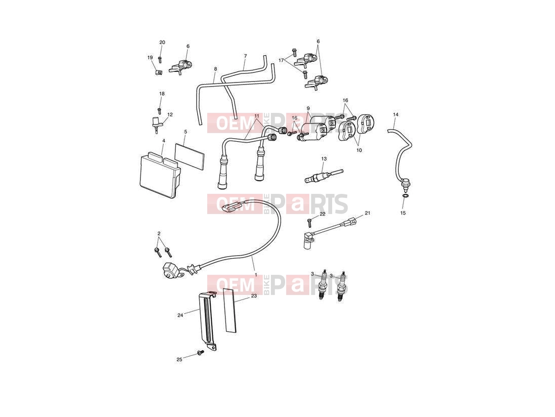 Triumph 2009 SPEEDMASTER EFI Engine Management System