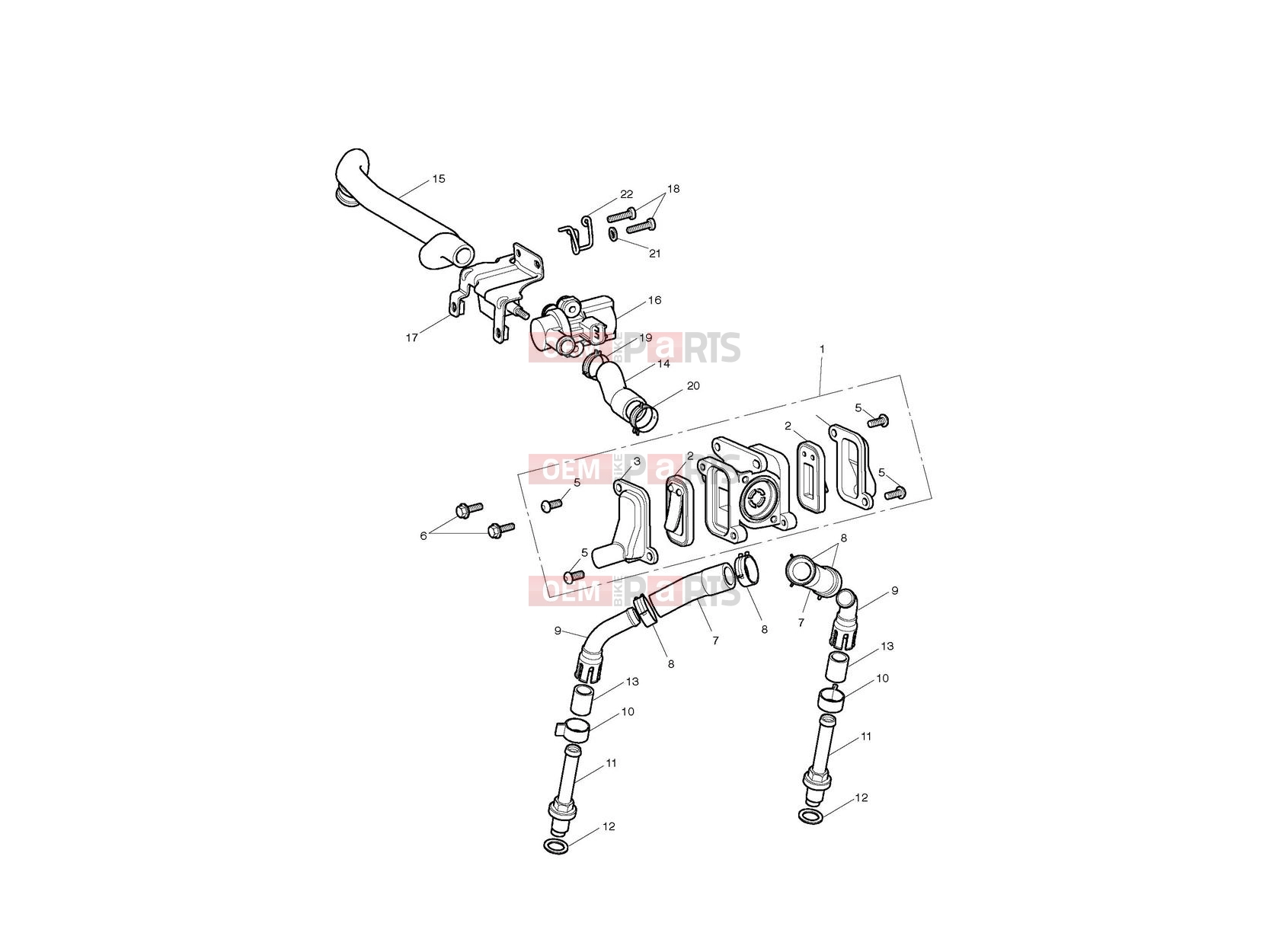 Triumph 2013 SCRAMBLER EFI Emissions Control