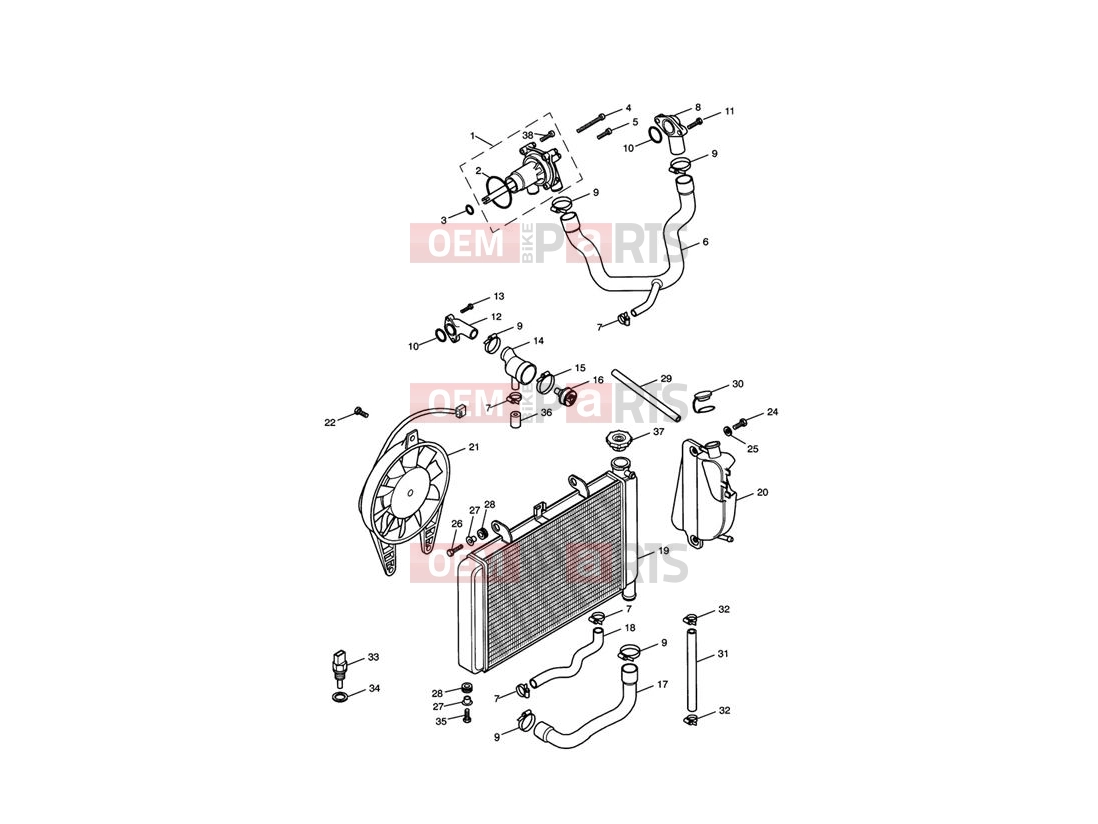 Triumph 2001 TT600 Cooling System