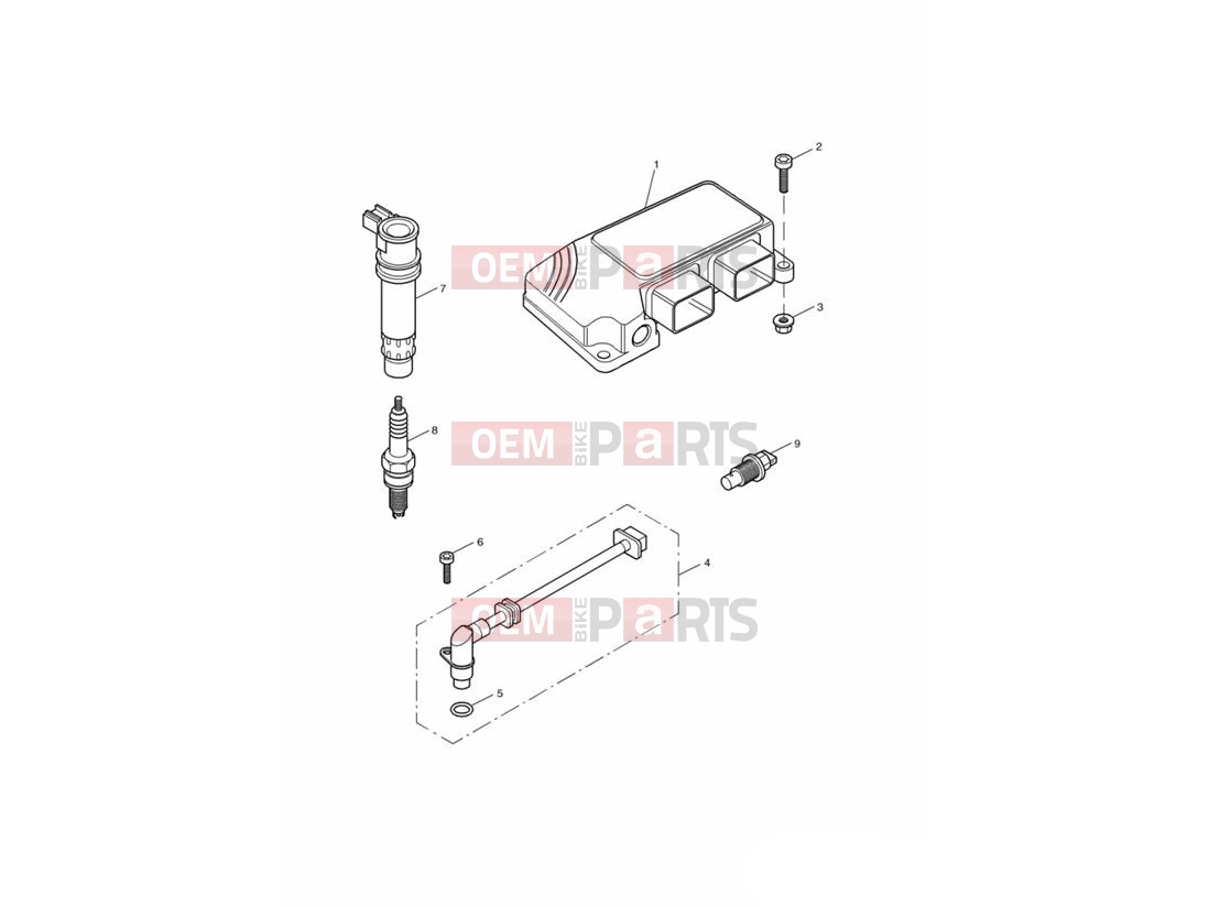 Triumph 2003 TT600 Engine Management System
