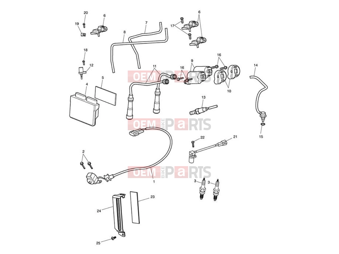 Triumph 2007 AMERICA EFI Engine Management System