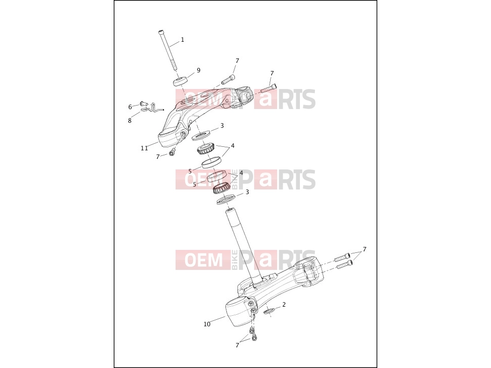 Harley-Davidson 2020 SOFTAIL SOFTAIL STANDARD  - FXST FORK BRACKETS, FRONT - FXBRS
