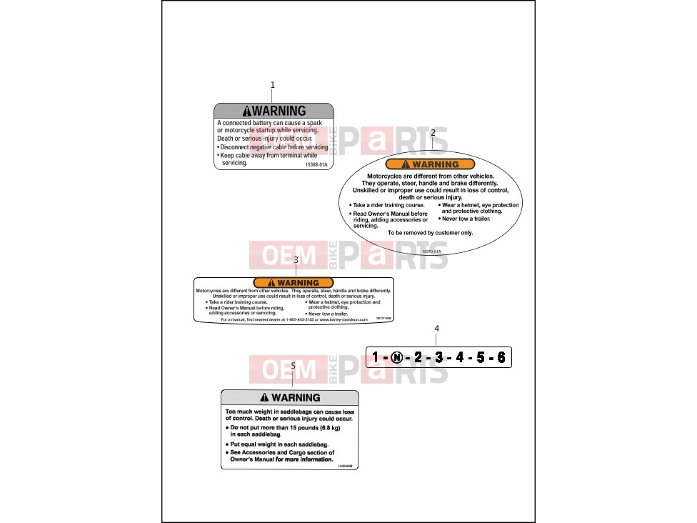 Harley-Davidson 2014 SOFTAIL SOFTAIL STANDARD  - FXST LABELS