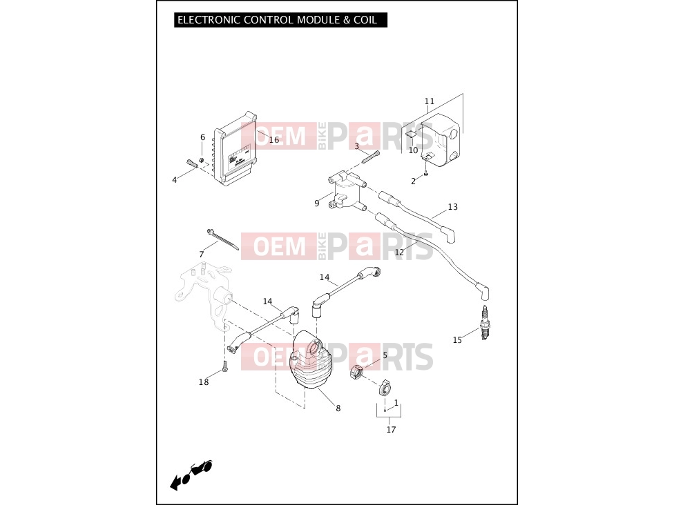 Harley-Davidson 2011 SOFTAIL CROSS BONES  - FLSTSB ELECTRONIC CONTROL MODULE (ECM) & COIL