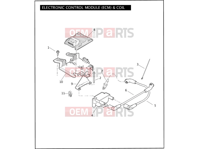 Harley-Davidson 2011 TOURING ELECTRA GLIDE CLASSIC  - FLHTC 103 ELECTRONIC CONTROL MODULE (ECM) & COIL