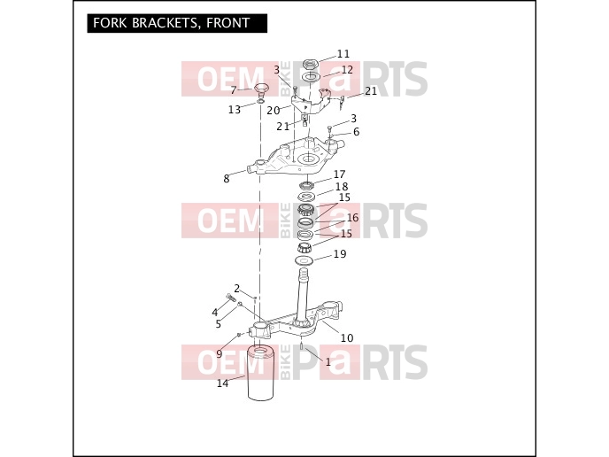 Harley-Davidson 2011 TOURING ELECTRA GLIDE CLASSIC  - FLHTC 103 FORK BRACKETS, FRONT