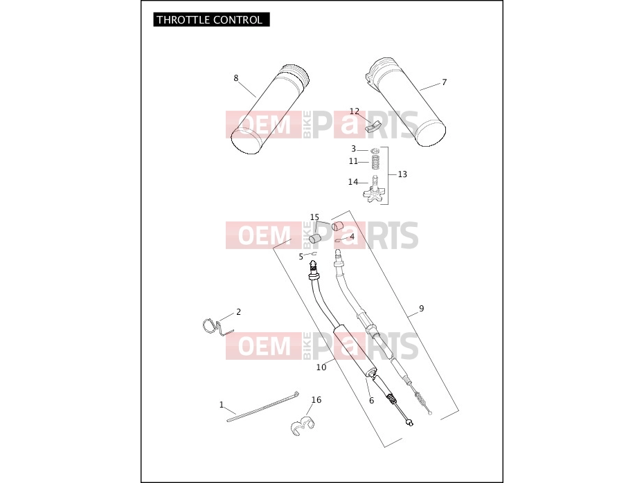 Harley-Davidson 2010 SOFTAIL SOFTAIL CUSTOM  - FXSTC THROTTLE CONTROL