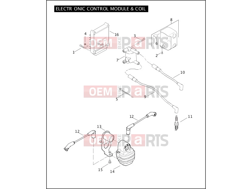 Harley-Davidson 2008 SOFTAIL SOFTAIL STANDARD  - FXST ELECTRONIC CONTROL MODULE & COIL