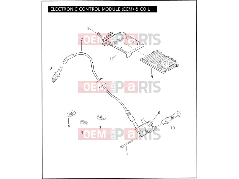 Harley-Davidson 2008 TOURING ELECTRA GLIDE CLASSIC  - FLHTC ELECTRONIC CONTROL MODULE (ECM) & COIL