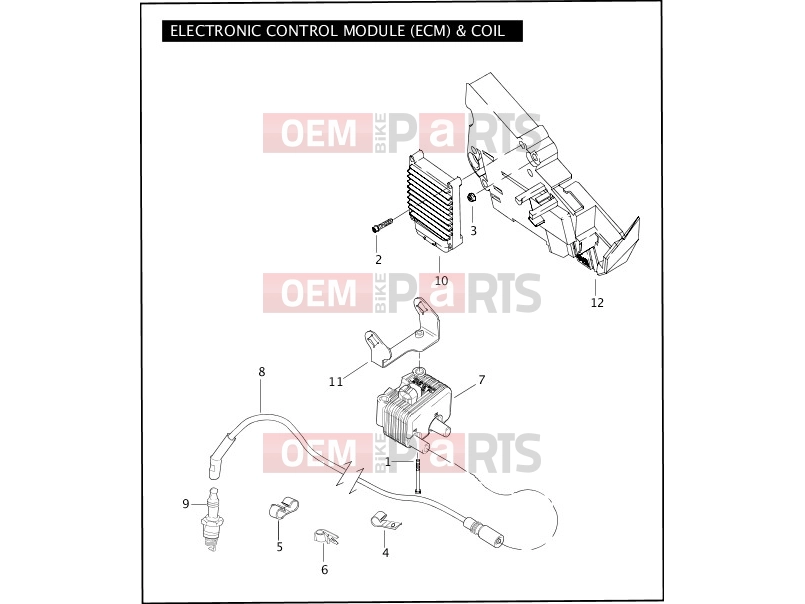 Harley-Davidson 2007 TOURING ELECTRA GLIDE STANDARD  - FLHT ELECTRONIC CONTROL MODULE (ECM) & COIL
