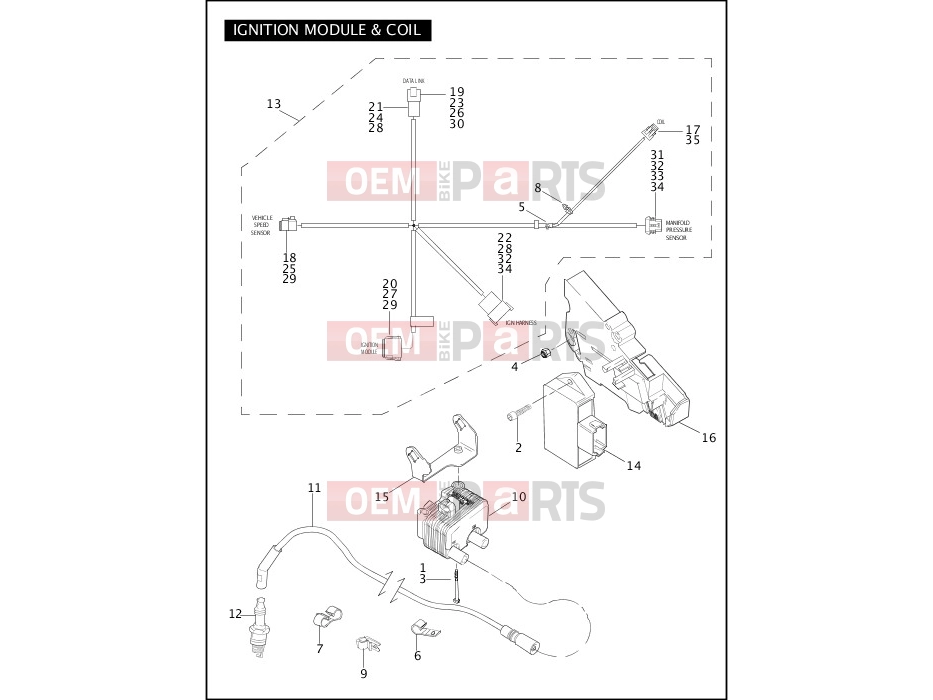 Harley-Davidson 2004 TOURING ELECTRA GLIDE CLASSIC  - FLHTC IGNITION MODULE & COIL