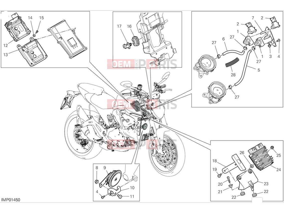 Electrical devices (1) - Ducati Monster 2024