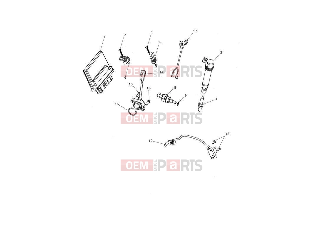 Triumph 2016 TROPHY 1215 SE Engine Management System