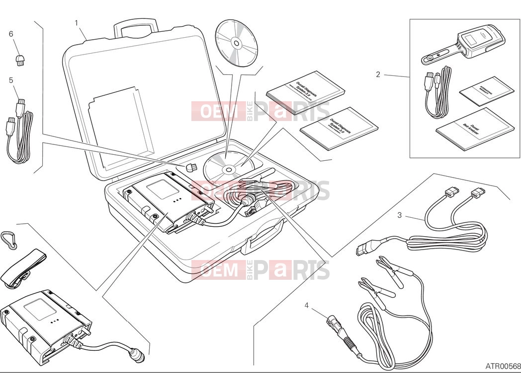 DDS system - Ducati Monster 2025
