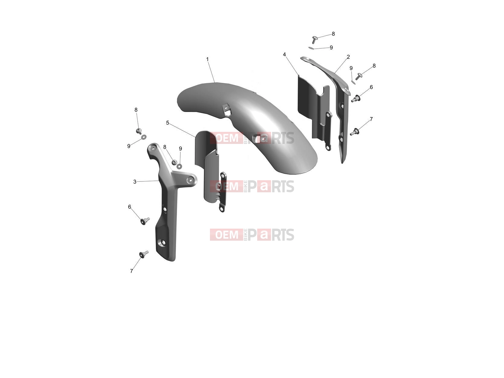 Front Mudguard - Triumph Speed 400 2024