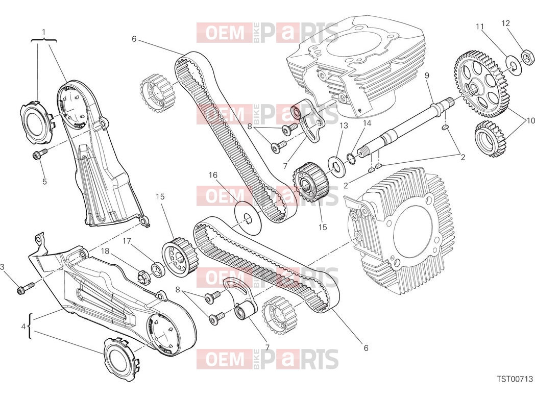 DUCATI 2025 Scrambler Nightshift Timing system