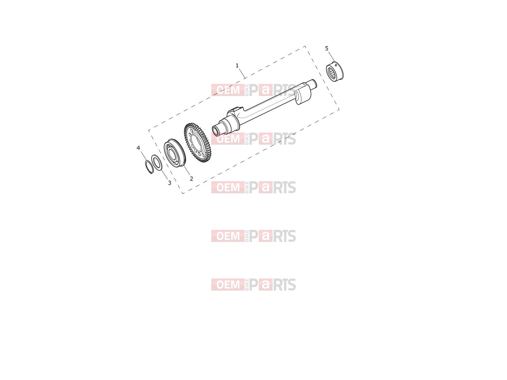 Triumph 2026 Trident 800 Balancer