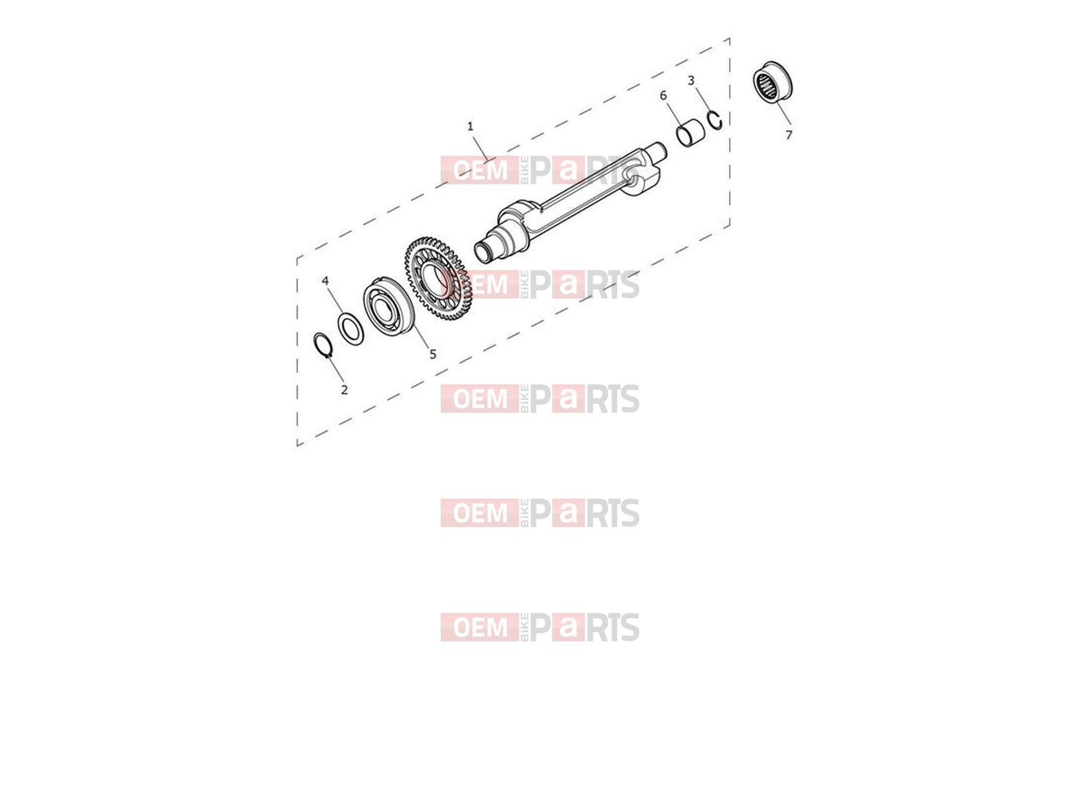 Balancer - Triumph Trident 660 2024