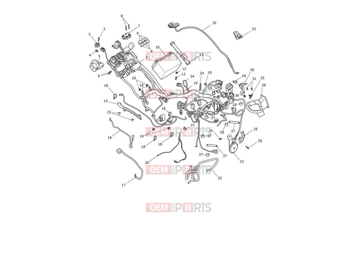 Triumph 2024 Trident 660 Electrical System