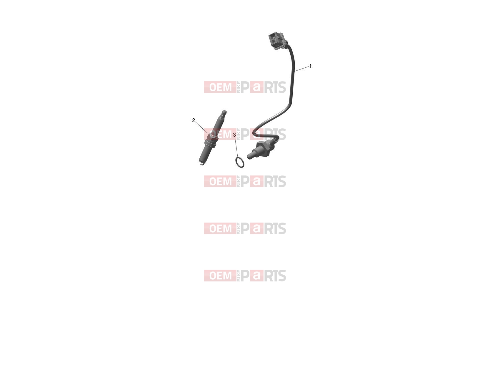 Engine Management System - Triumph TF450-E 2026