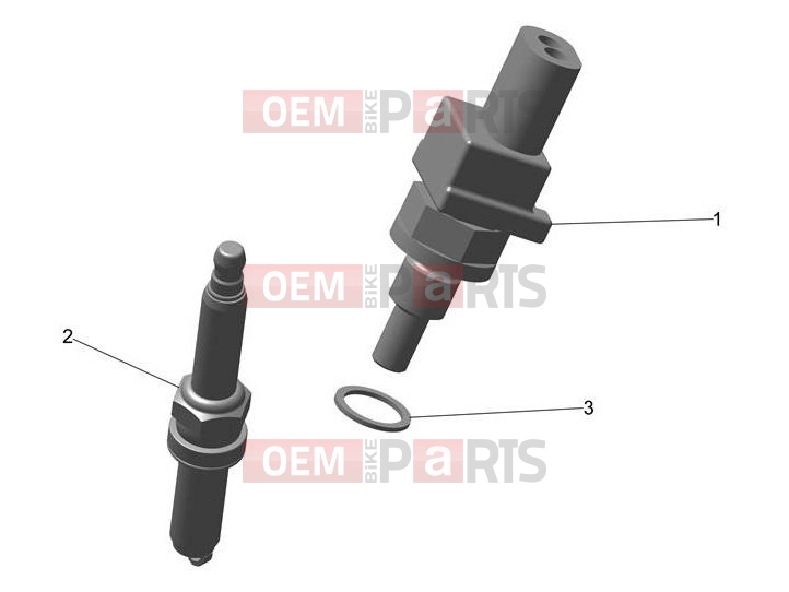 Engine Management System - Triumph TF250-E 2026